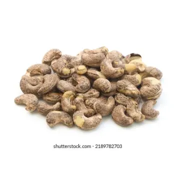 Fresh Raw Cashew Nuts